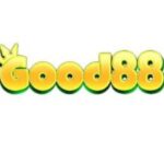 Profile picture of good88ame1