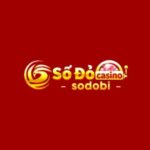 Profile picture of sodobicom