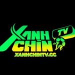 Profile picture of xanhchintvcc