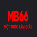 Profile picture of mb66mb66cncom
