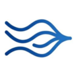 Profile picture of cohessra