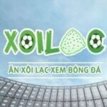 Profile picture of xoilackvltv