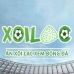 Profile picture of xoilackvotv