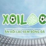 Profile picture of xoilackvytv