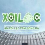 Profile picture of xoilackvatv