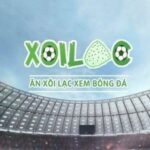 Profile picture of xoilackvbtv