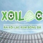Profile picture of xoilackvctv