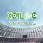 Profile picture of xoilackvdtv