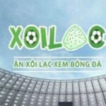 Profile picture of xoilactvbudd