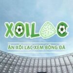 Profile picture of xoilactvpubl