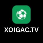 Profile picture of xoigacnet