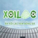 Profile picture of xoilacxtatv