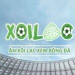 Profile picture of xoilacxtbtv