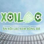 Profile picture of xoilacxtctv
