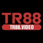 Profile picture of tr88video