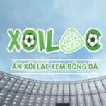 Profile picture of xoilaczzccztv
