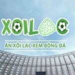 Profile picture of xoilaczziiztv