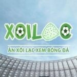 Profile picture of xoilaczzjjztv