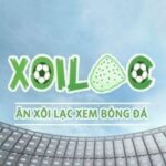 Profile picture of xoilaczzkkztv