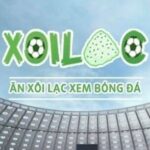 Profile picture of xoilaczznnztv