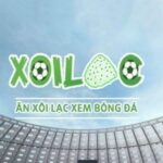 Profile picture of xoilaczzooztv