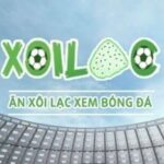 Profile picture of xoilactvdakh