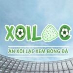 Profile picture of xoilactvbanh