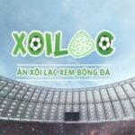 Profile picture of xoilactvnewl