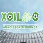 Profile picture of xoilaczzuuztv