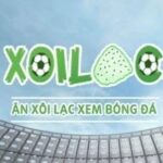 Profile picture of xoilacvvntv