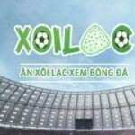 Profile picture of xoilactvsogo