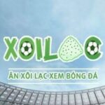 Profile picture of xoilactvspac