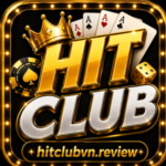 Profile picture of hitclubvnreview