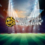 Profile picture of socolivefocu