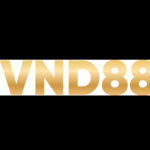 Profile picture of VND88
