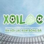 Profile picture of xoilactvpayq