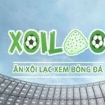 Profile picture of xoilactvscre