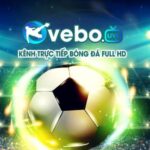 Profile picture of vebozzmcc