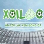 Profile picture of xoilactvdeda