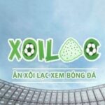 Profile picture of xoilactvkhme