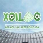 Profile picture of xoilactvboxp