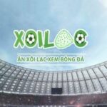 Profile picture of xoilactvexte