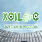 Profile picture of xoilactvangg