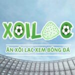 Profile picture of xoilactvunis