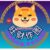 Profile picture of 旺财作图