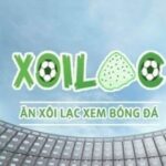 Profile picture of xoilactvwild