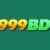Profile picture of 999bdart