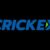 Profile picture of topcrickexcom