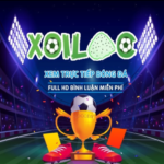 Profile picture of xoilackvn