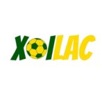 Profile picture of xoilactdcom